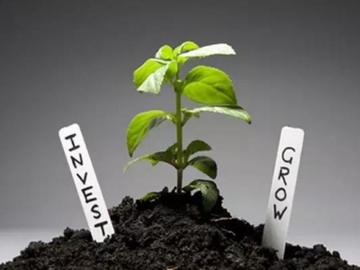 在植物生長(zhǎng)過(guò)程中扮演著極為重要的角色是“TA”